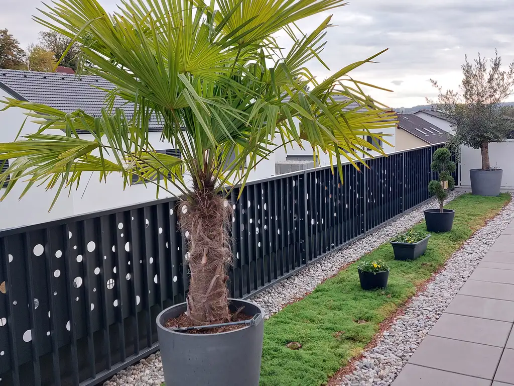 Sichtschutz Terrasse Geländer